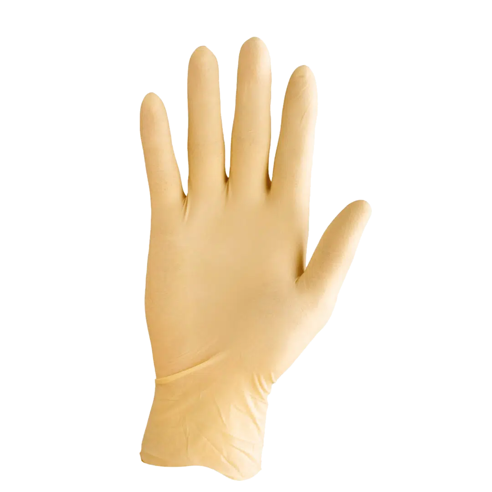 Proval Securitex PF Latex Exam Gloves